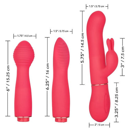 In Touch Dynamic Vibrator Trio