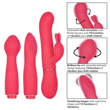 In Touch Dynamic Vibrator Trio