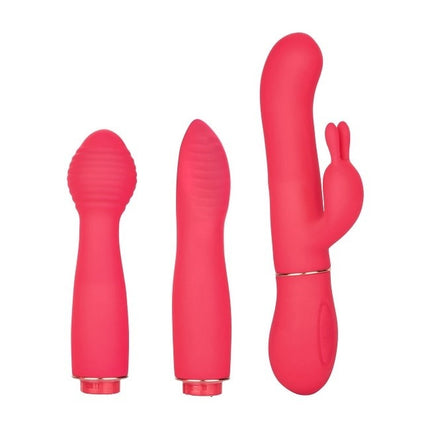 In Touch Dynamic Vibrator Trio